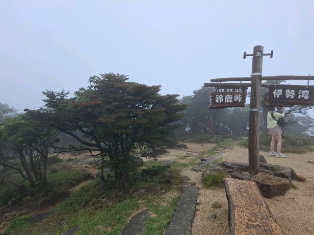 三重山頂秘境！絕美公園四季皆風景！