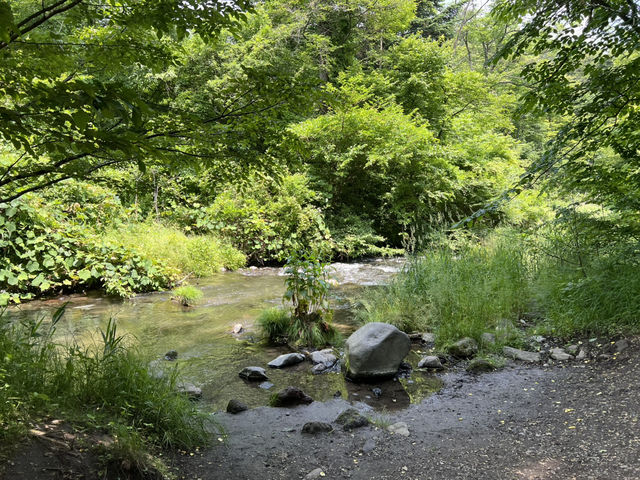 中輕井澤 星野溫泉 蜻蜓之湯 長野縣