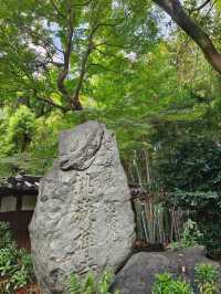 ⛩️綠色名古屋大佛【桃巖寺-下篇】