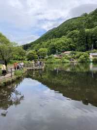 🌿由布院 + 太宰府一日浪漫遊｜夢幻金鱗湖＋文化滿載太宰府天滿宮✨