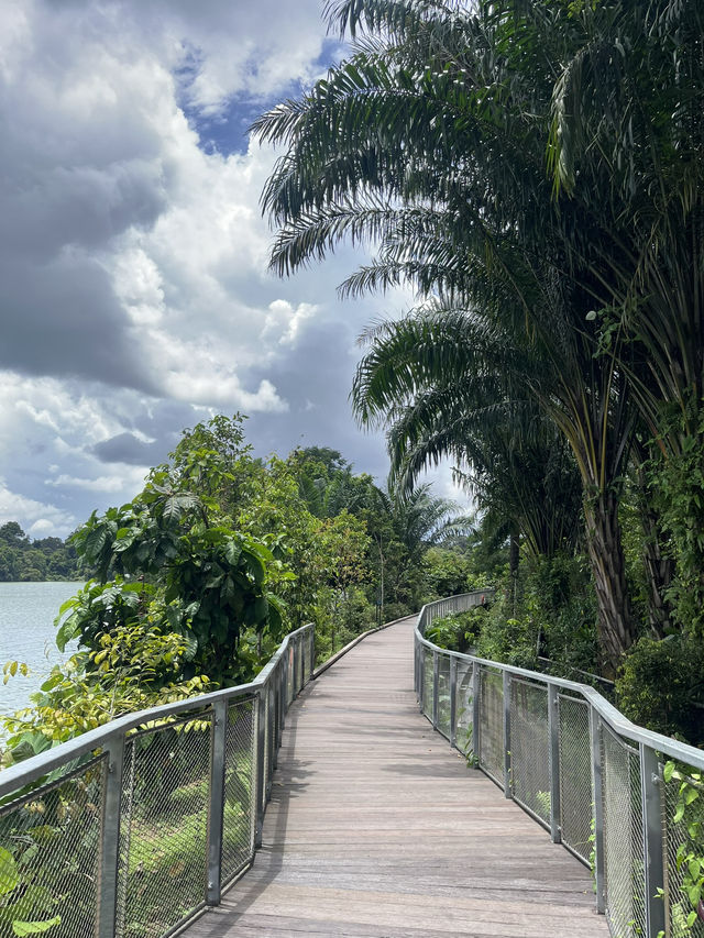 Finding things to do in Singapore? or where to go? 