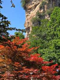 Zhangjiajie National Forest Park rocks!! 🏞