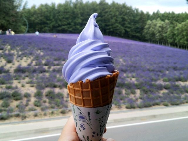 홋카이도 후라노 비에의 여름풍경~!