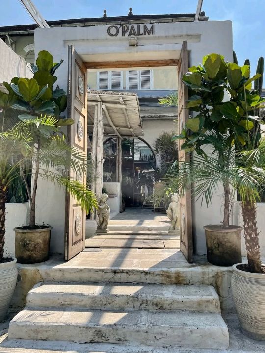 The O’Palm Cafe is a lush