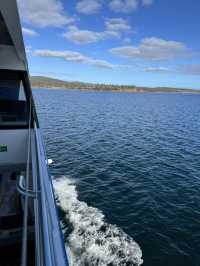 A Must in TASMANIA- Bruny Island 🏝️ 