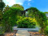 Mesmerizing Singapore Zoo! 