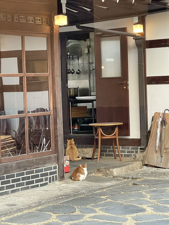 경주 고즈넉한 한옥에서 맛보는 고기한상 