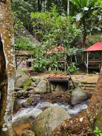 สมศรี มีกาแฟ  Somsee mee kafe บ้านปางไฮ