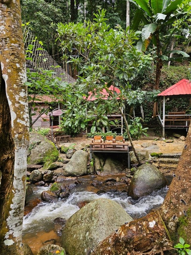 สมศรี มีกาแฟ  Somsee mee kafe บ้านปางไฮ