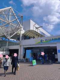 国内で唯一ラッコに会えるの水族館🦦🐚‎🫧【三重県・鳥羽】