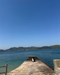 [Japan 🇯🇵] Okunoshima (Rabbit Island): An Unforgettable Hoppy Adventure!