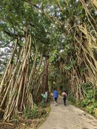 Urban Escape: Culture & Views HongKong