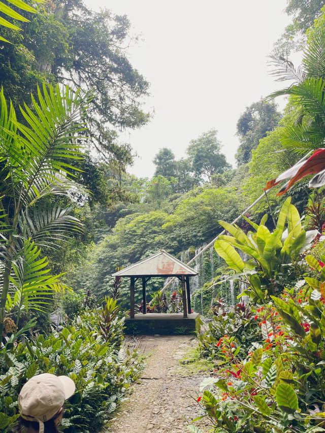 Banyu Wana Amertha Waterfall view 1