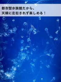子連れ台湾にピッタリ！最近スポット