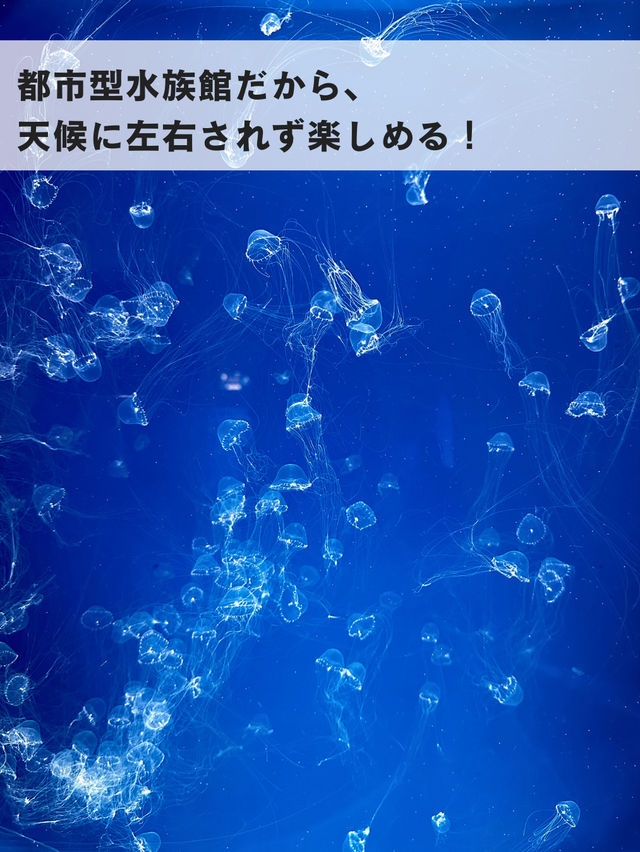 子連れ台湾にピッタリ！最近スポット