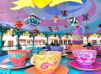 Happiness overflowing in Fantasyland 