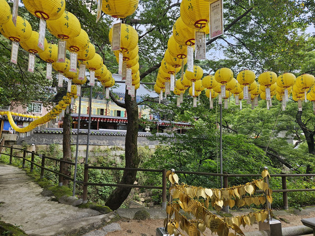 도봉산에 오르다