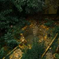 Ryokan Yamahoshi เรียวกัง ยามะโฮชิ เชียงใหม่