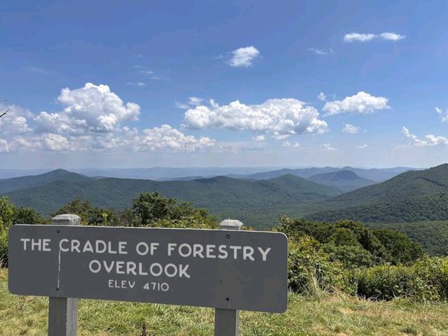 Pisgah National Forest