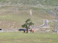 Kanas Journey: Scenery Along the Way