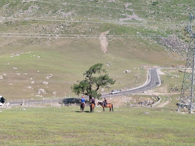 Kanas Journey: Scenery Along the Way
