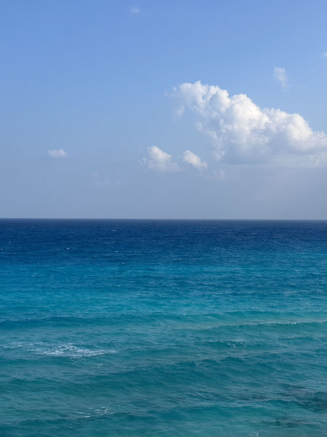 Filter Blue Betrayal: Ageeba’s Lie-Lit Water