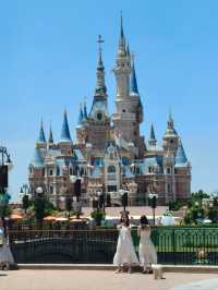 Meet Them All: Every Disney Princess Lives Here