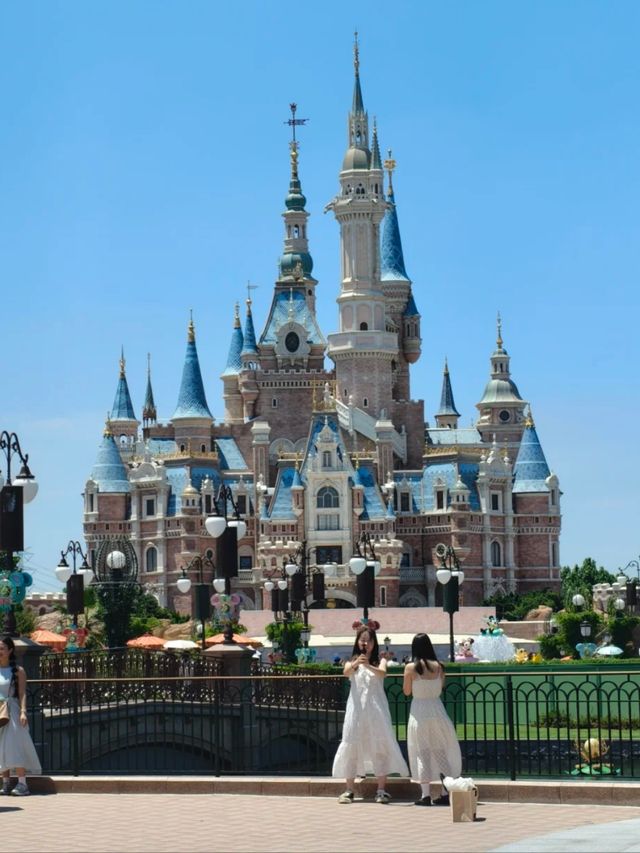 Meet Them All: Every Disney Princess Lives Here