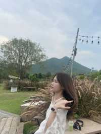 📍จ.เลย มีอะไรให้เที่ยว