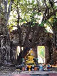 สถานที่เงียบงามที่ซ่อนตัวอยู่กลางธรรมชาติ 🍃
