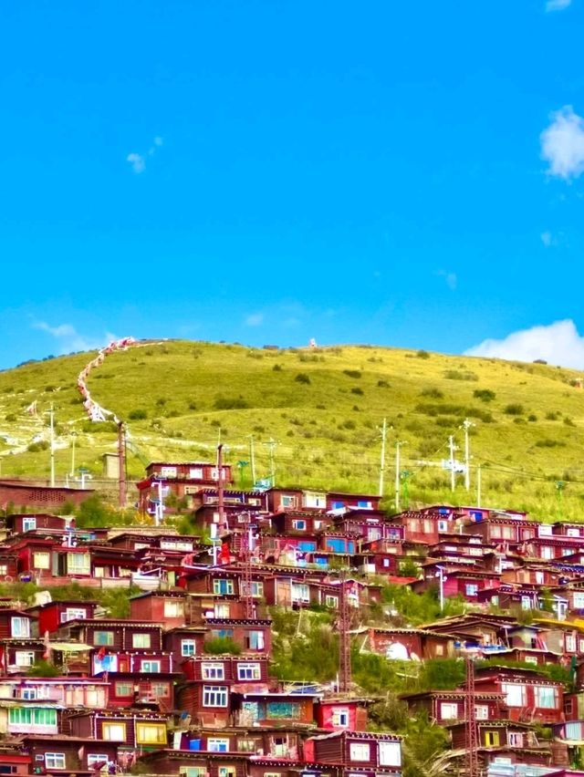 Red Houses & Peaceful Minds