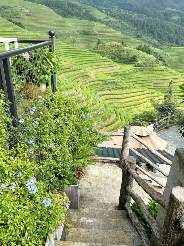 Where Dragons Sleep: The Beauty of Longji Terraces