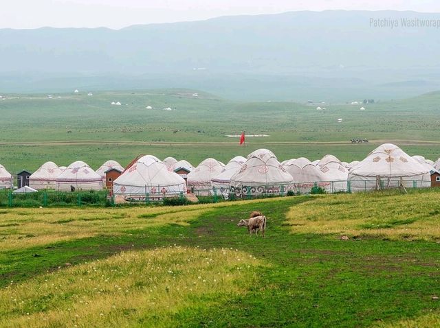 Nalati Grassland Is Straight Up Gorgeous