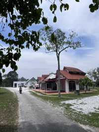 Tranquil Wonders of Paya Indah Wetlands