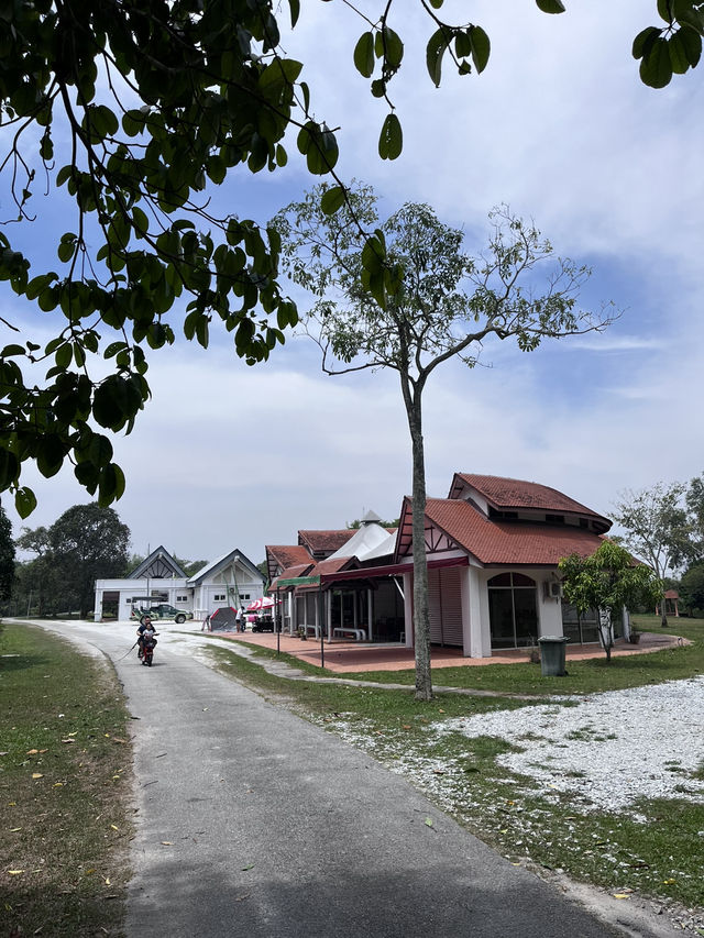 Tranquil Wonders of Paya Indah Wetlands