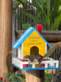 Buri Rasa Village Samui บูติกรีสอร์ทสไตล์ไทย