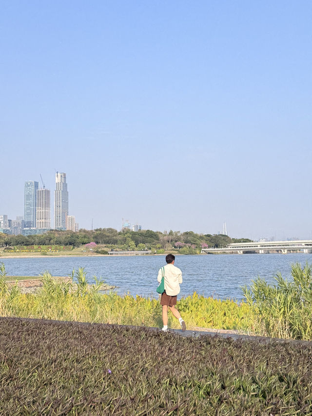 เดินเล่นที่ Shenzhen Bay Park 🤍