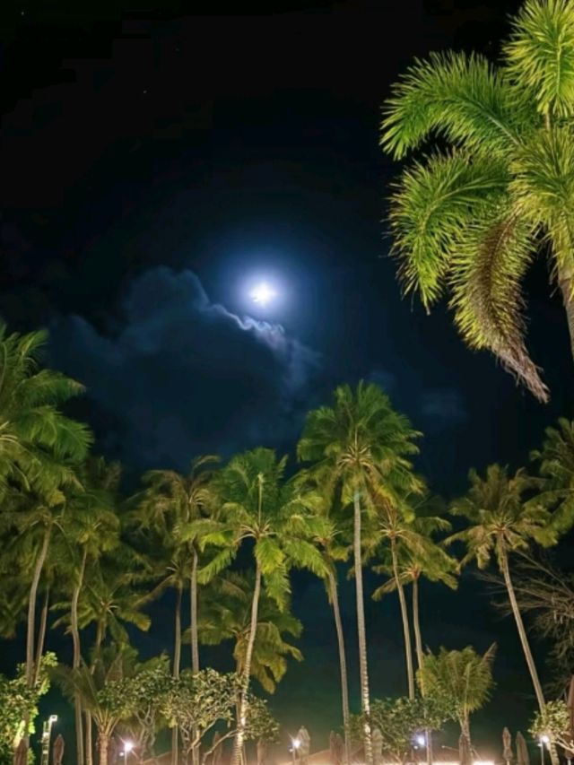 🌴 Budget Trip:Phuket Beach Bliss 🏖️