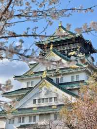 🇯🇵 Japan 11D10N Budget Trip | Under RM4,100!