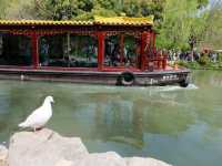 “Willow Dream Waterway”
