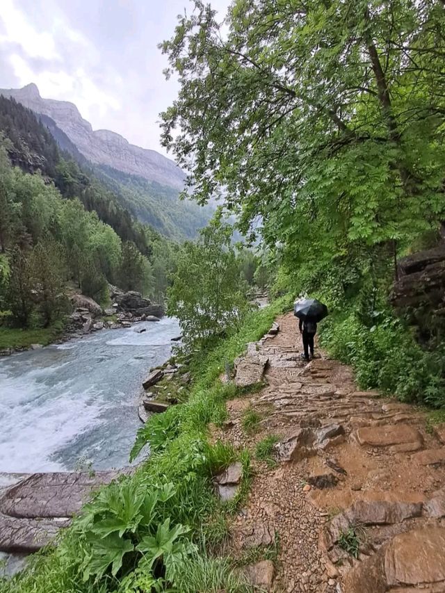 Waterfalls and Forest Feels on the Ruta a la Cola de Caballo