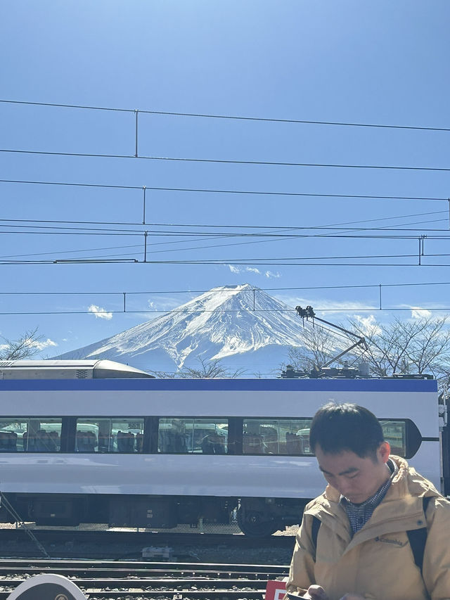 Tokyo 2025 Itinerary