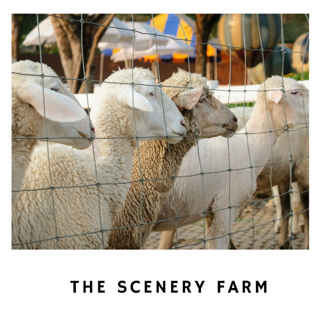 🐑 The Scenery Vintage Farm ฟาร์มในฝันกลางหุบเขา