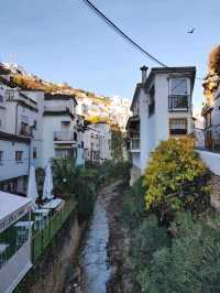 Rock Houses and Hidden Corners in Setenil de las Bodegas