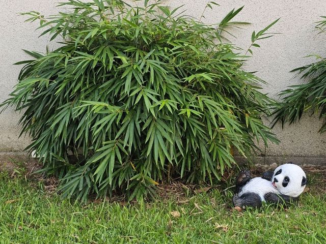 環境優美嘅城門河，無敵日落景色