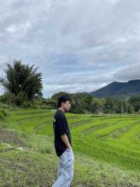 🌾 Medan’s Rice Terraces Are Nature’s Quiet Masterpiece