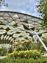 Your Morning Muse in KL: Nature, Calm, and Clarity