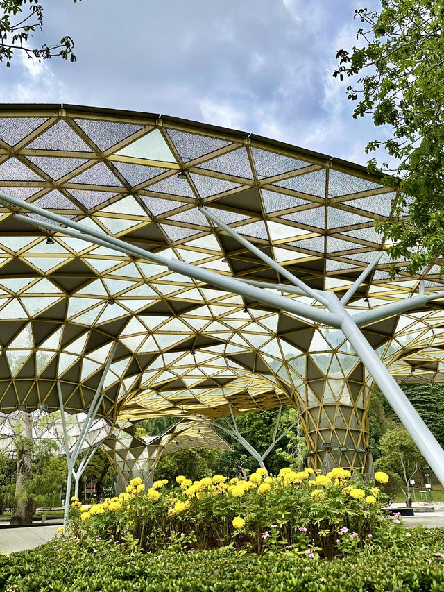 Your Morning Muse in KL: Nature, Calm, and Clarity