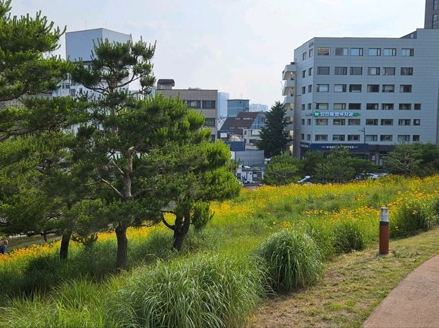 A relic from the Joseon Dynasty, Heungjinmun