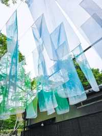 色の魔法に包まれて──光と水が奏でる、嵐山の異空間🎨✨
